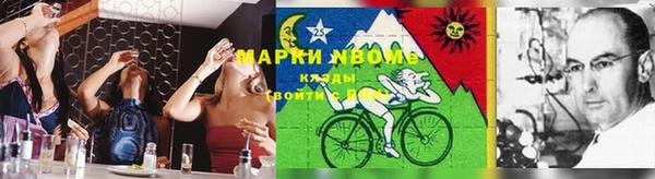 молекула духа Бородино