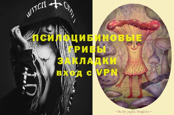 а пвп мука Верхний Тагил
