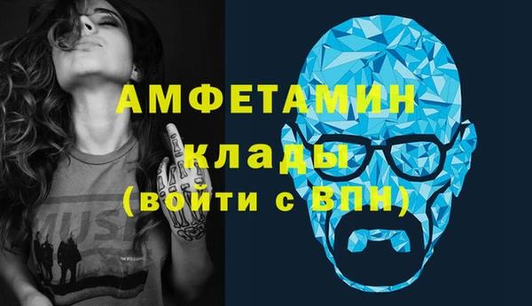 молекула духа Бородино