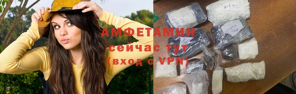 молекула духа Бородино