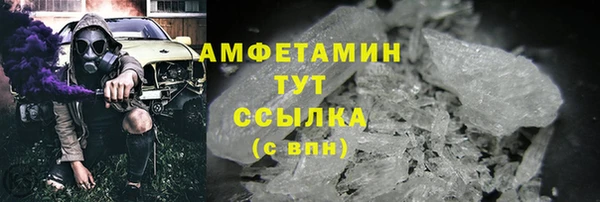молекула духа Бородино