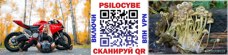 Псилоцибиновые грибы Magic Shrooms  Чита 